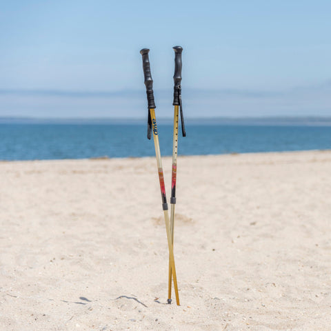Drive Summit™ Walking Poles
